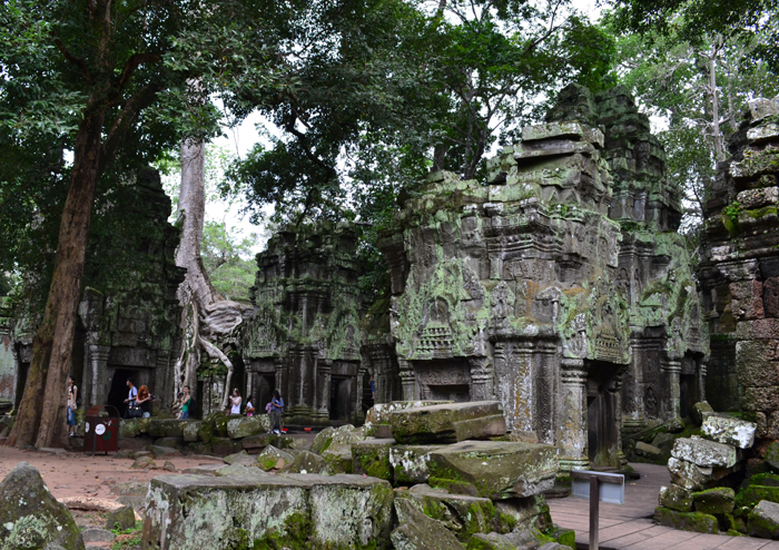 The Ta Prohm Temple