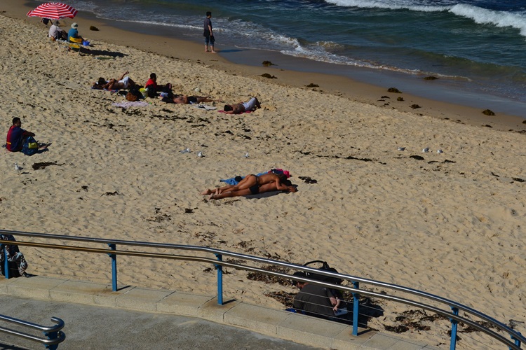 coogee beach 