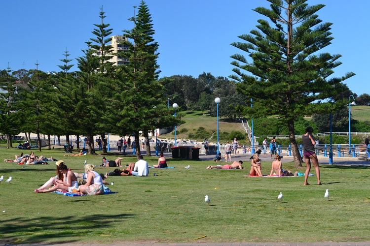 coogee beach 