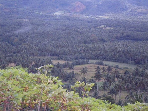 Kawa Kawa Hill