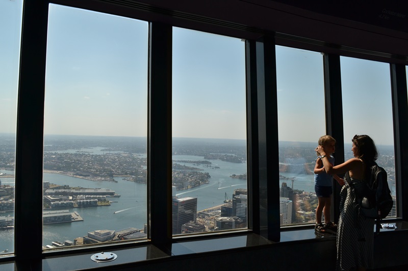 sydney tower eye 