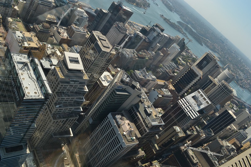 sydney tower eye (25)