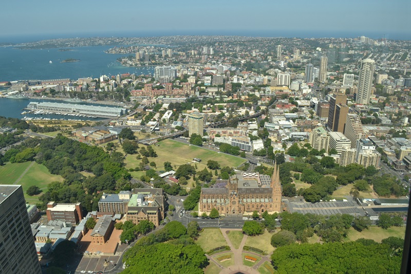 sydney tower eye 