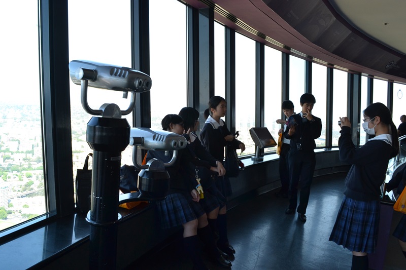 sydney tower eye 