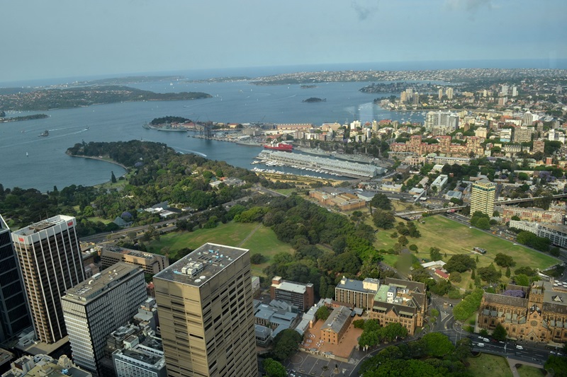 sydney tower eye 